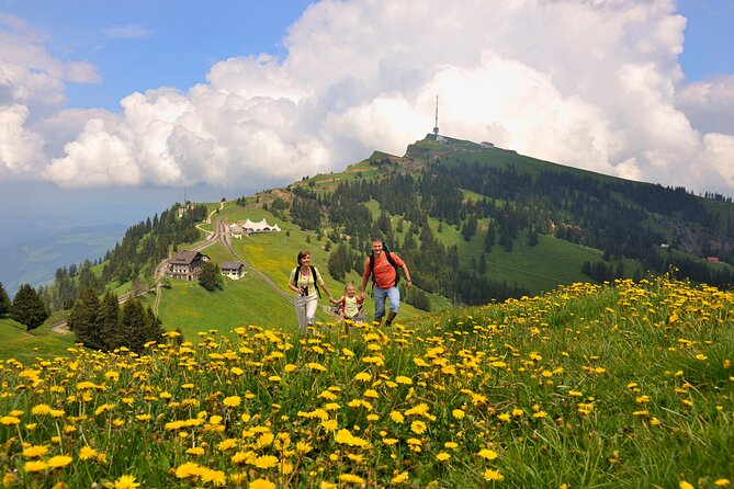 Mount Rigi Summer Day Trip From Lucerne - Last Words