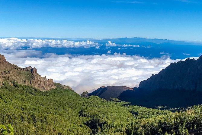Mount Teide and Tenerife North With 5 Course Tasting Menu Private Tour - Common questions
