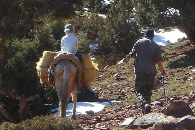 Mount Toubkal 2day Trekking From Marrakech - Common questions