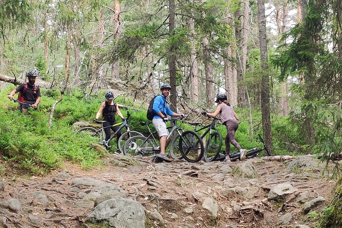 Mountain Biking in Stockholm Forests for Experienced Riders - Best Time to Go Mountain Biking