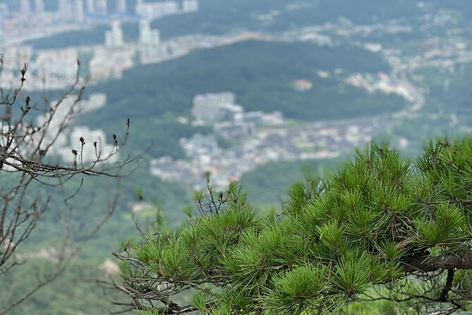 Mt. Bukhan Hike With Traditional Korea Spa Experience in Seoul (Mar ) - Weather Contingency and Cancellation Policy