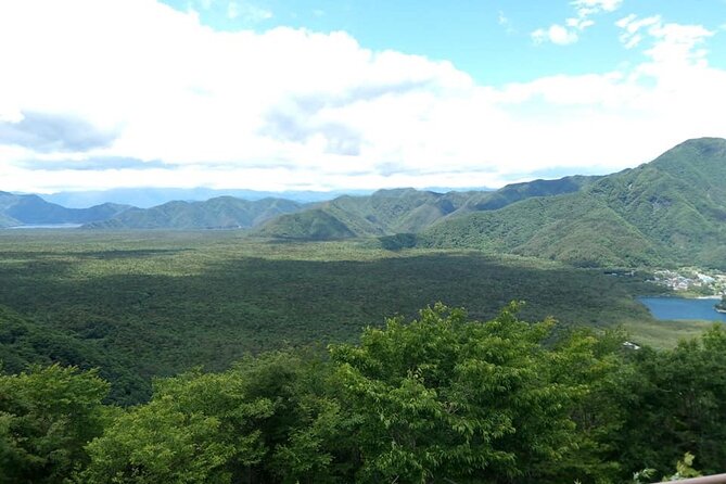 Mt Fuji Nature Guide for Family and Couple - Nature Exploration Options for Families