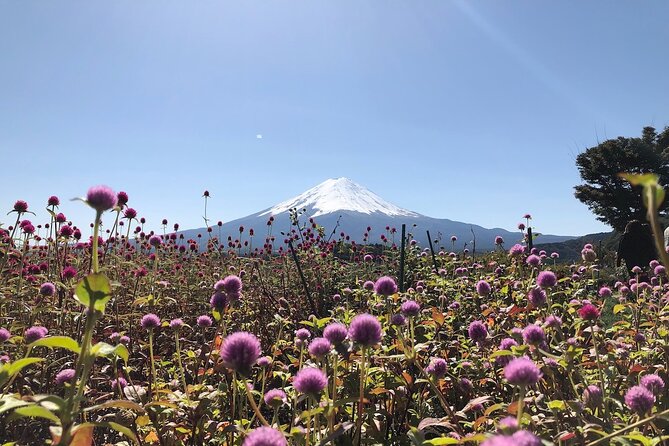 Mt Fuji With Kawaguchiko Lake Day Tour - Viator Information