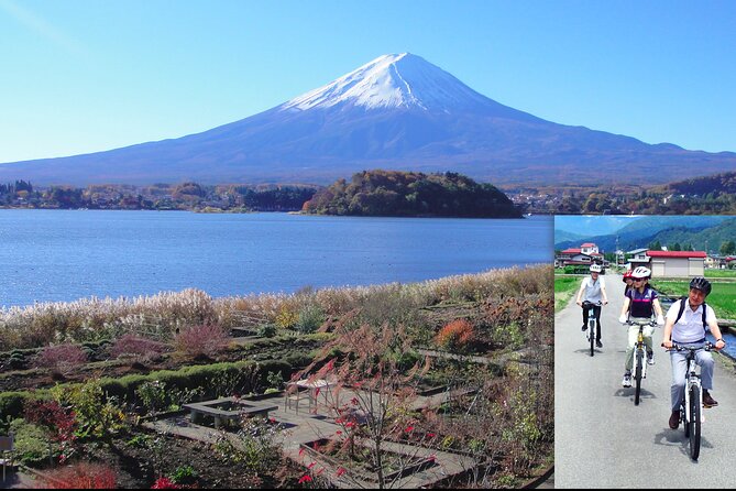 Mt. Fuji's Fifth Station & Lake Kawaguchiko Cycling Tour - Contact and Legal Information