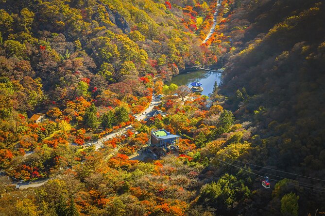 Mt. Naejang Sightseeing Trip From Seoul - Common questions