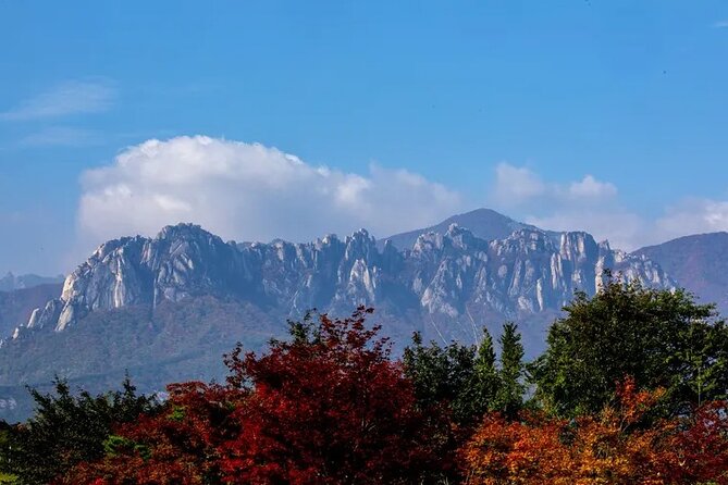 Mt. Seorak & The Tallest Ginko Tree at Yongmunsa - Additional Information for Visitors