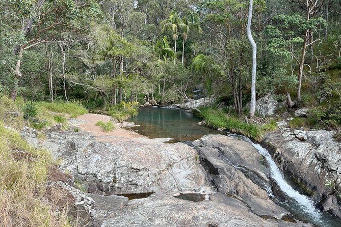 Mt Tamborine 8-hour Guided Tour by Minivan in the Scenic Rim - Booking Information