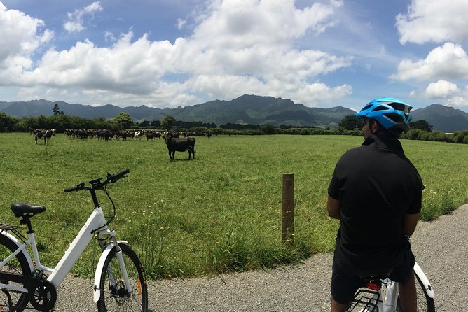 Mt. Te Aroha Bike Hire & Tours - Background