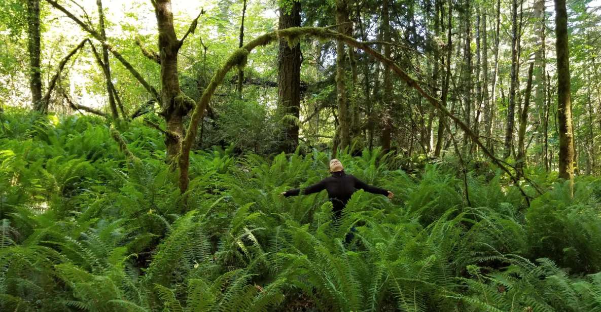 Mystical Rainforest Tour - Forest Magick - Guided Nature Walk