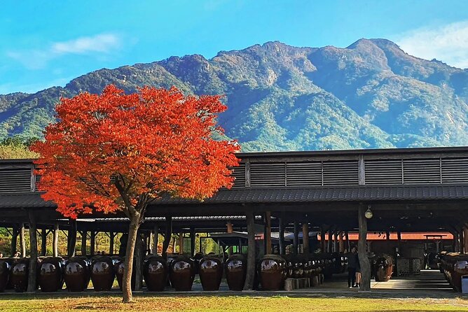 Nami & Happy Chowon Panorama Field & Gangchon Railbike - Contact Information