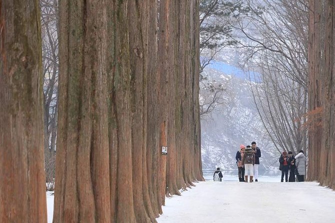 Nami Island and Petite France {Private Day Tour} - Price and Payment Information