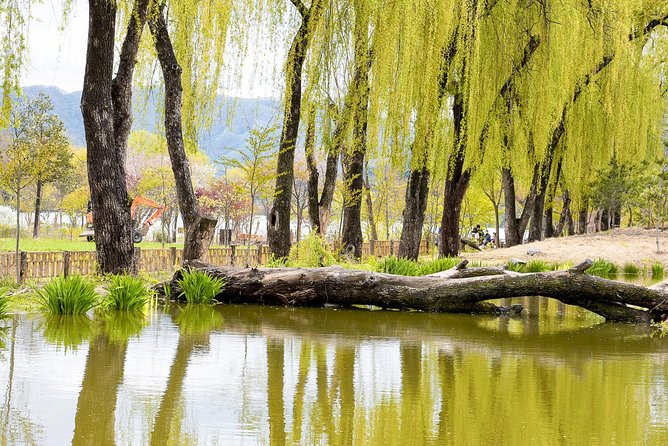 Nami Island & Petite France With Italian Village One-Day Tour - Reviews and Recommendations