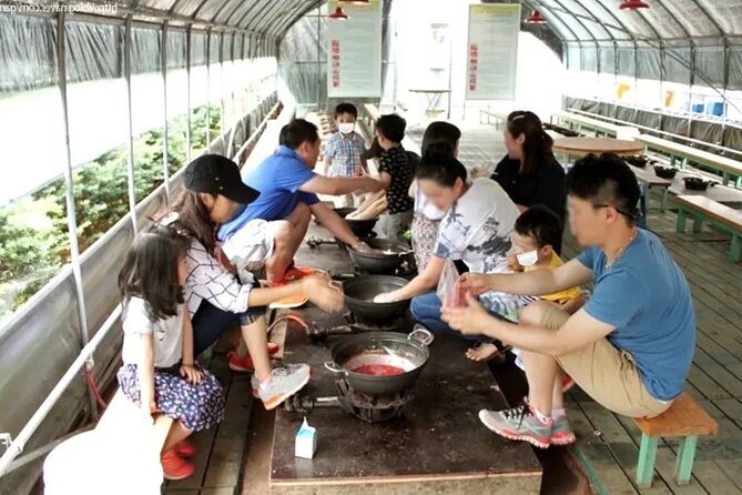 Nami Island & Strawberry Picking And Jam Making & Railbike