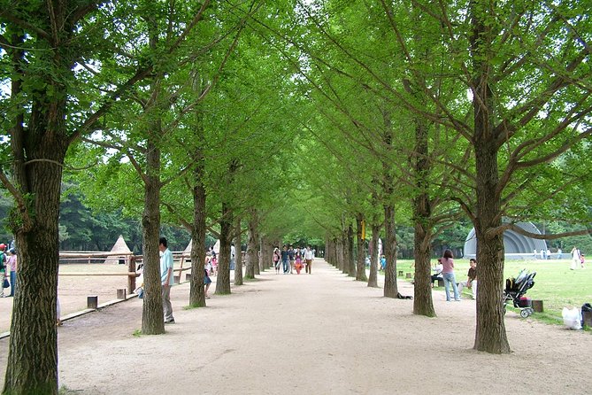 Nami Island With Garden of Morning Calm Trip - Booking Information