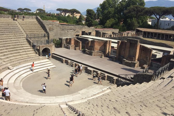 Naples Shore Excursion: Pompeii Independent Half-Day Trip - Last Words