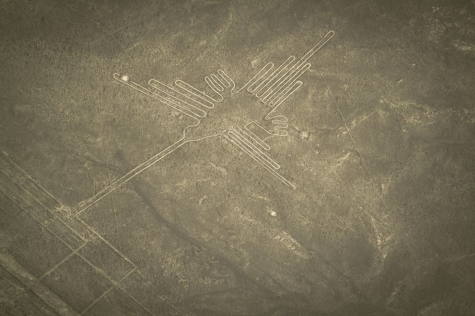 Nasca Lines Overflight With Lunch From Lima - Overall Experience