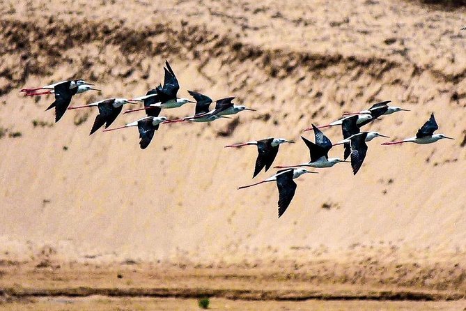 National Park of Souss Half Day Trip From Agadir - Last Words