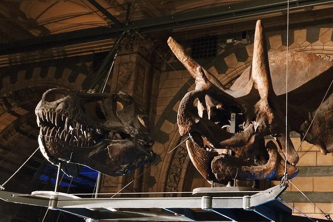 Natural History Museum London - Private Guided Museum Tour - Tour Highlights and Must-See Exhibits