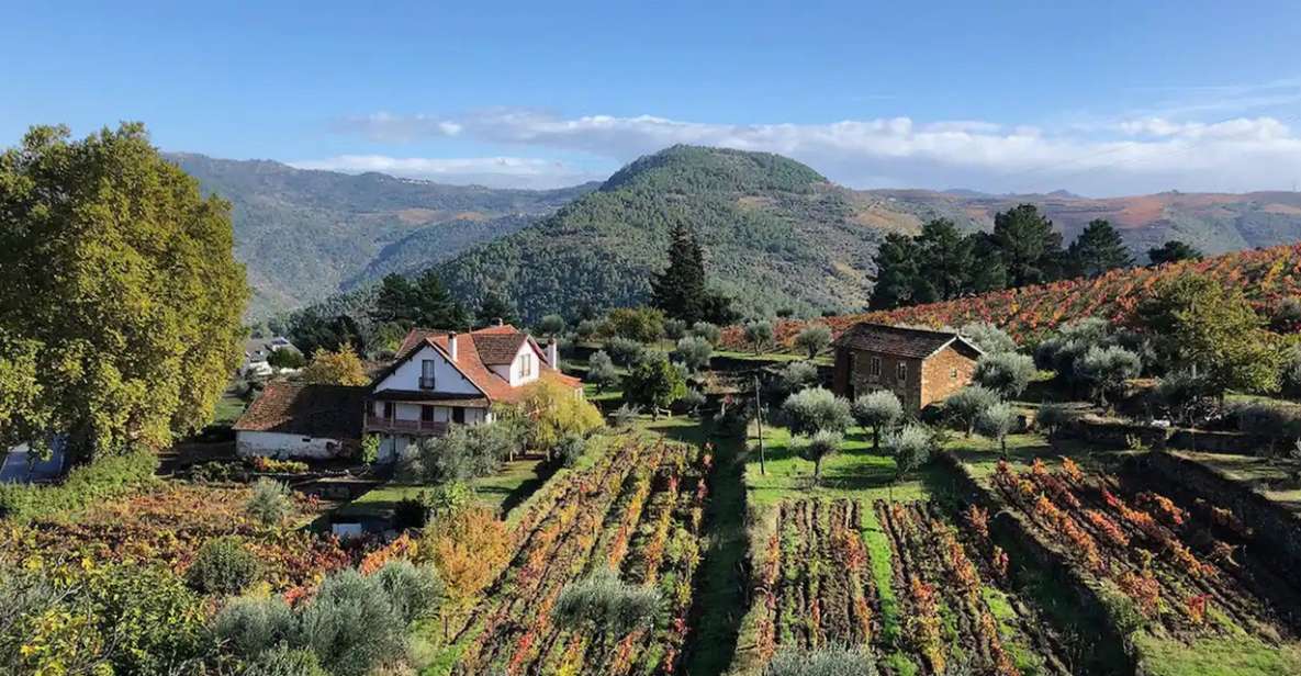 Natural Organic Wine Tastings / Farm Visit in Douro Valley - Last Words