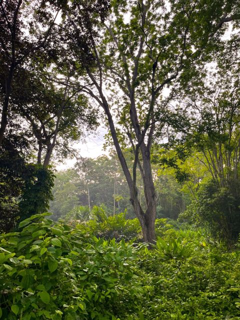 Nature Walks in a Private Reserve With Lunch - Directions