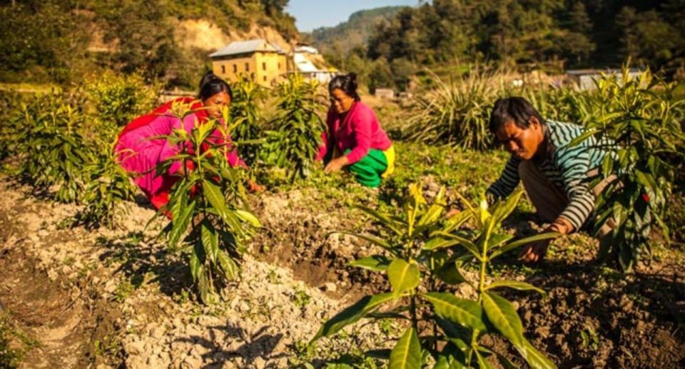 Nepal: Culture and Agro Tour. - Additional Costs and Considerations