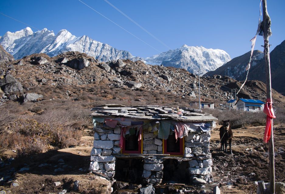 Nepal: Langtang Valley Trek - Accommodation Information