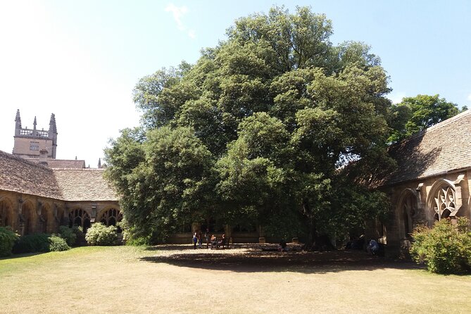 New College Oxford Harry Potter Insights PRIVATE TOUR Daily - Background