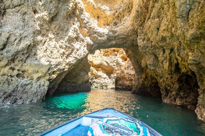 NEW Lagos-Watching Dolphins and Benagil Cave With Biologists - Common questions