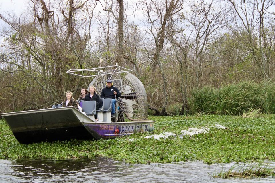 New Orleans: 10 Passenger Airboat Swamp Tour - Customer Reviews