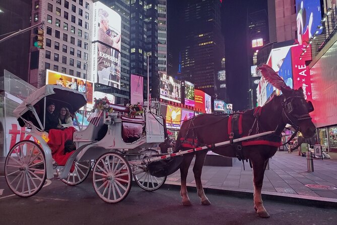 New York City Christmas Lights Private Horse Carriage Ride - Summary of the Experience