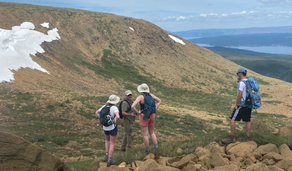 Newfoundland: Blow Me Down Mountains Half Day Hiking Tour - Experienced Guides