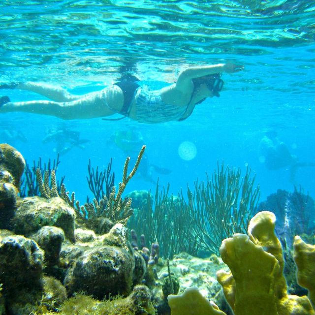 Nha Trang: Snorkeling Tour at Coral Reef - Additional Information