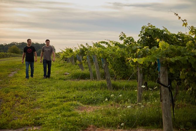 Niagara-on-the-Lake Winery Tutored Tasting Plus Snacks  - Niagara Falls & Around - Confirmation and Accessibility Details