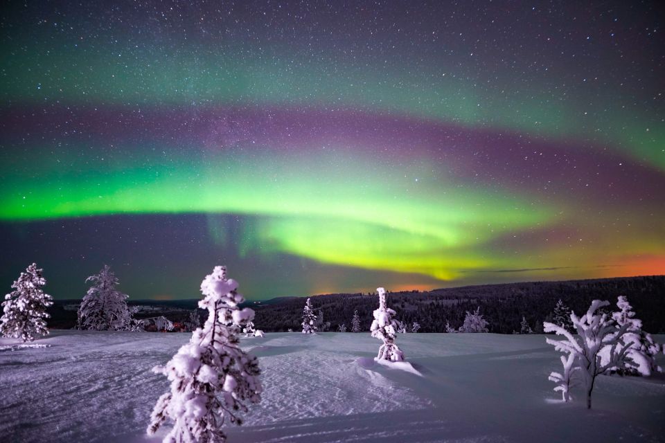 Night Snowshoeing Adventure Under the Northern Lights - Review Summary