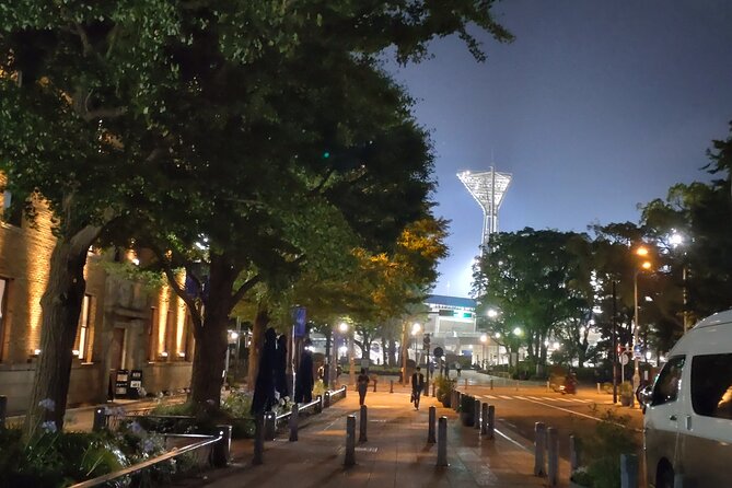 Night View Yokohama Private Tour Cherry Blossoms in a Hurry - Booking Information