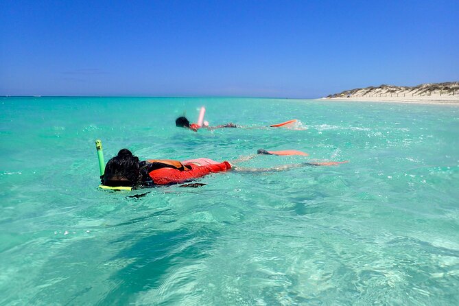 Ningaloo Reef Snorkel Adventure - What to Bring