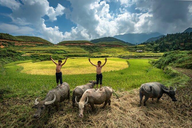 Ninh Binh Group Tour of 11 From Hanoi via Mua Cave Tam Coc Hoa Lu - Hoa Lu Ancient Capital