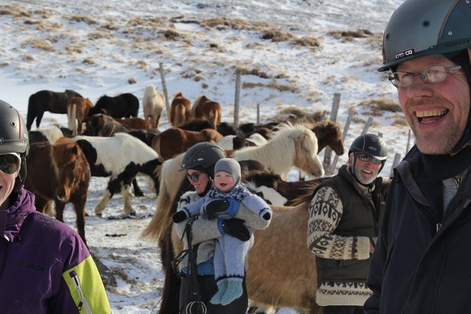 North Iceland: Horseback Riding Tour  - Akureyri - Booking Information