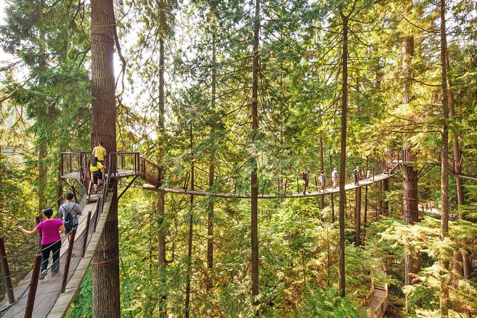 North Shore Day Trip From Vancouver: Capilano Suspension Bridge & Grouse Mtn - Excursion Highlights