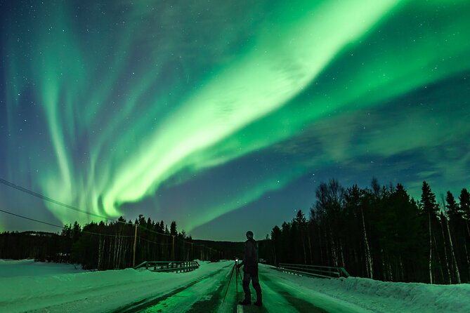 Northern Lights Photography Hunting Experience in Rovaniemi - Customer Recommendations and Testimonials