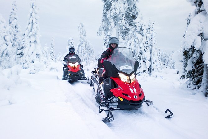 Northern Lights Snowmobile Driving Safari - Customer Experiences