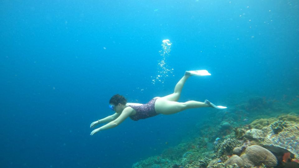 Nusa Penida: Snorkeling 3 Spots With Manta Options - Last Words