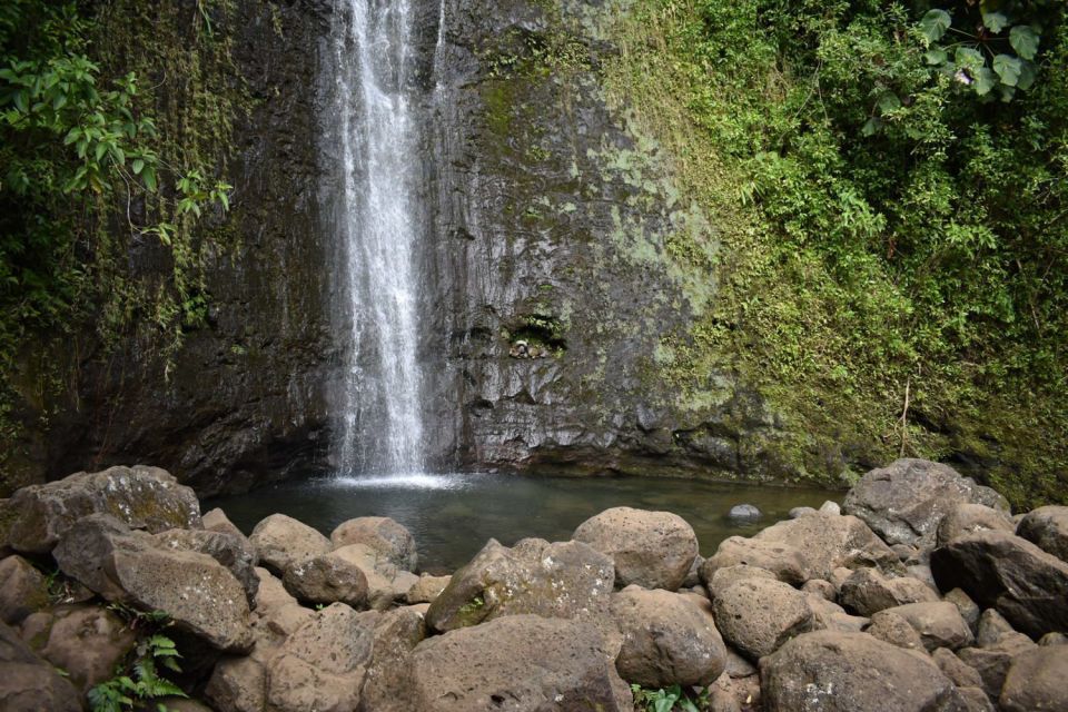 Oahu: Manoa Falls Waterfall Hike With Lunch and Transfers - Overall Rating and Recommendations