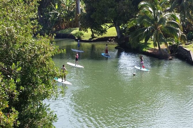 Oahu North Shore Small-Group Stand-Up Paddleboard Turtle Tour - Common questions