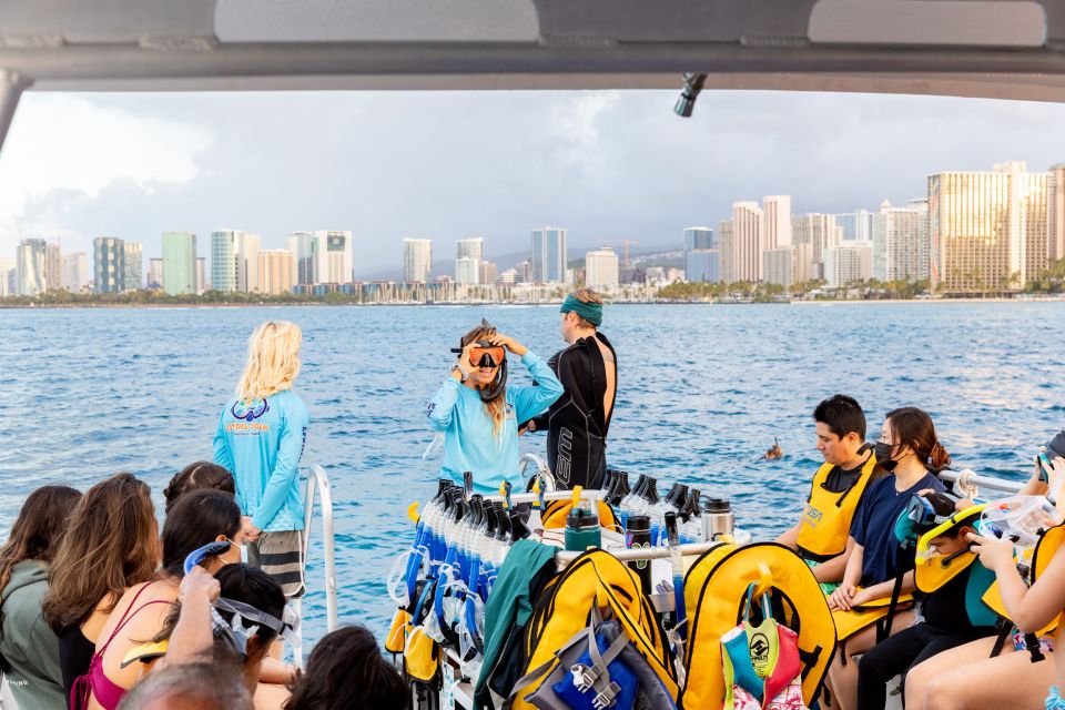 Oahu: Waikiki Turtle Canyons Cruise And Snorkel Excursion