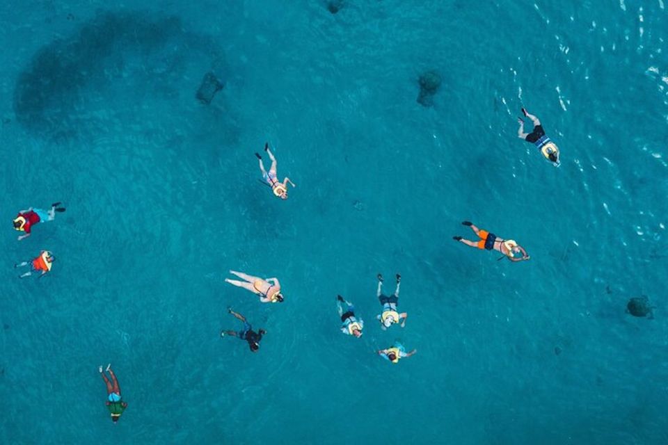 5 oahu waikiki turtle snorkeling adventure cruise Oahu: Waikiki Turtle Snorkeling Adventure Cruise