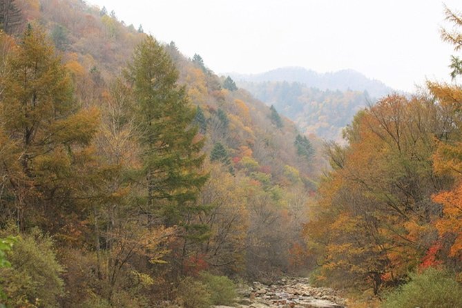 Odaesan National Park Hiking Day Tour: Explore Autumn Foliage Korea - Booking Tips