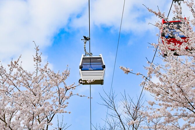 Oedo Botania Islandgeoje Panorama Cable Car From Busan - Oedo Botania Islandgeoje Overview