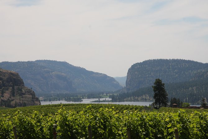 Okanagan Falls Private Wine Tour - Full Day - Booking Information