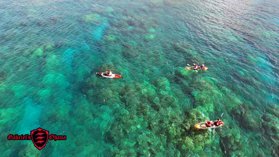 Olowalu: Guided Tour Over Reefs in Transparent Kayak - Background